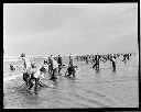 Digging razor clams at Westport, circa 1940, #7219_1