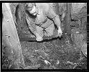 Logger cutting inside hollow of cedar tree near Charley Creek, 11/18/1935, #14231_1