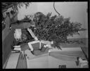 Xmas tree and play, 12/27/1944, #21527_1