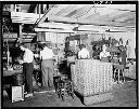 Lamb Grays Harbor Co. plant interior with women workers, 5/11/1945, #21790_1