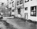 High water around Becker Bldg, 1/1954, #28157_1