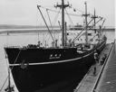 Ship ZUIYO MARU, oyster seed ship, circa 1954, #28175_1