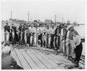 Group with fish at Westport Salmon Derby, 7/31/54-8/1/54, #28479_1