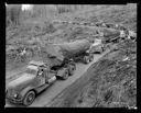 10 log trucks with one log loads, east Fork of Humptulips, 4/22/55, #29171A_1