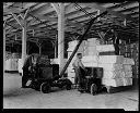 Workers in warehouse with loaders, 9/29/1928, #206_1