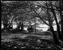 Picnic tables under trees at Halbert's Tourist Park , 5/27/1930, #3369_1