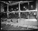 Screens in chip plant, 2/1/1930, #408_1