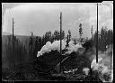 Donkey engines, spar trees, railroad for Clemons Logging Co., 3/1925, #10170_1