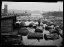 Log pond at Washington Veneer plywood plant, Olympia, 1926, #10718_1