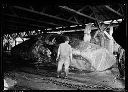 Butchering whale at whaling station, circa 1932, #3601_1