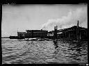 Whale catch floating outside whaling station, circa 1920, #3601_2