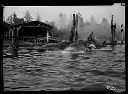 Whale catch floating outside whaling station, circa 1920, #3605_1