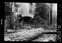 James Stewart Logging Camp on the Wishkah River, 2 miles from Aberdeen, 1899, #4475_1