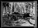 Two horsepower vertical drum (donkey logging), circa 1905, #4481_1