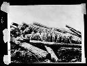 Men on logs, circa 1912, #4520_1