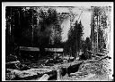 Loading logs onto train cars, circa 1905, #4523_1