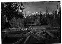 Man on log pond, 4/5/1905, #4958_1