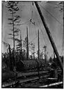 Loading logs on RR cars, circa 1910, #4965_1