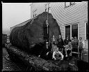 Group scaling a big spruce log on a railroad flatcar, 12/3/1932, #12854_1