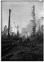 Loading Logs, circa 1922, #5004_1