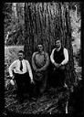 Three men at foot of tree, Labor Day 1922, #5091_1