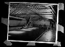 Hoquiam Swimming Pool interior, circa 1916, #6173_1