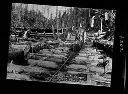 Logger and turn of logs on skid road, James Stewart camp, circa 1899, #6202_1