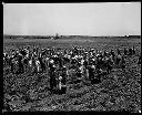 Pickering Pea Packing Co. fields with workers, 7/12/1934, #7522_1