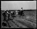 Horse-drawn sprayer in Pickering Pea Packing Co. field, 7/12/1934, #7523_1