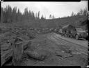 10 log trucks with one log loads, east Fork of Humptulips, 4/22/55, #29175_1