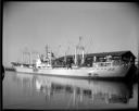 'MS Gyda' at Port  dock , 11/6/1960, #38087_1