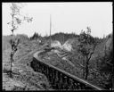 Logging railroad and spar tree, circa 1915, #10054_1