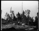 Loggers and spar tree, circa 1918, #10059_1