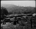 Logging camp and railroad, circa 1918, #10067_1