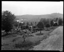 Fern Hill Cemetery, 7/12/1929, #11470_1