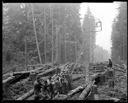 Grays Harbor to Willapa Harbor power line, 10/29/1929, #11599_1