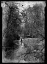 Fishing in creek above Lake Quinault, circa 1930, #3340_1