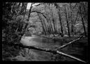 Stream through maples and alders with car and picnickers, circa 1925, #3361_1