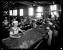 Women picking over cranberries at Montesano plant, 7/17/1935, #14128_1