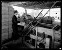 Cleaning cranberries at Blue Mountain Cannery Montesano plant, 7/17/1935, #14136_1