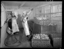 Cooking Dungeness crabs commercially, 10/22/1939, #16785_1