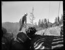 Logger with chainsaw, 1947, #23661_3