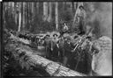 Logging crew, 8/21/1901, #18904_1