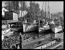 Fish and oyster boats at Bay Center, 2/12/1942, #19171_1