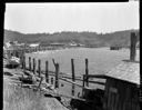 Pilings along Hoquiam River, 7/23/1939, #16528_1