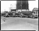 Four log trucks with fir logs from one tree, 6/21/1949, #25021_1