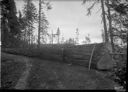 Charles A. Middleton at Smith Creek with saw and big felled tree, 12/1947, #24054_1