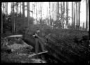 Logger on springboard bucking large felled tree, 12/1947, #24069B_1