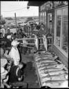 Westport Salmon Derby winning fish, 8/23/1959, #34874_1