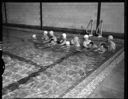 Pre-school swimmers at Hoquiam pool, 6/29/1960, #37114_1